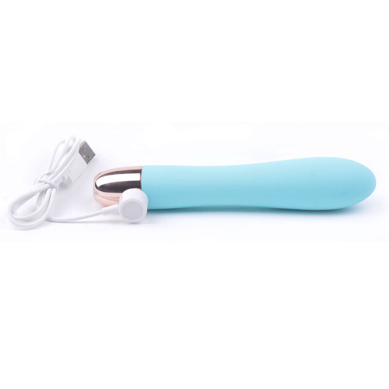 Vibrateur rechargeable classique bleu – Image 3