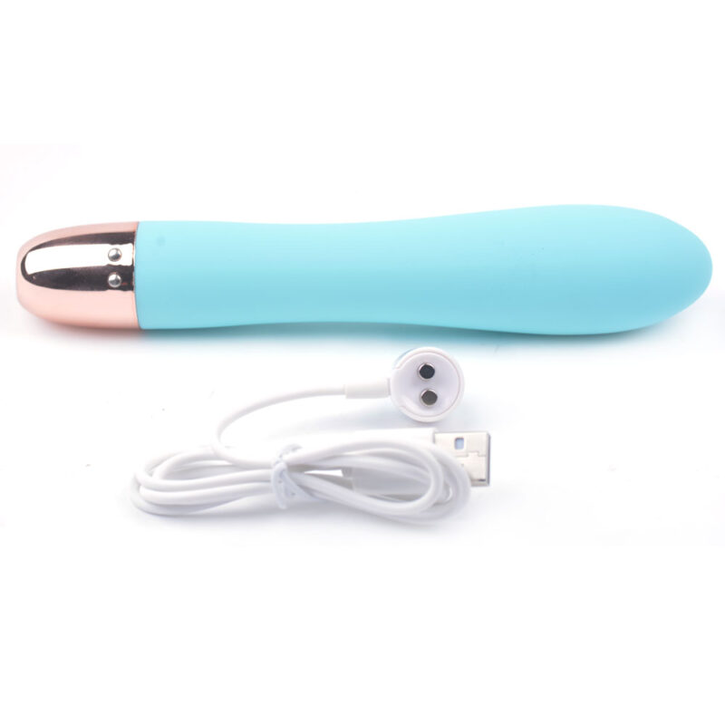 vibrateur rechargeable classique bleu