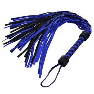 Whip and riding crop