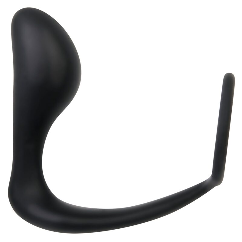 Ensemble de vibrateur anal et prostate avec DVD Evolved – Image 7